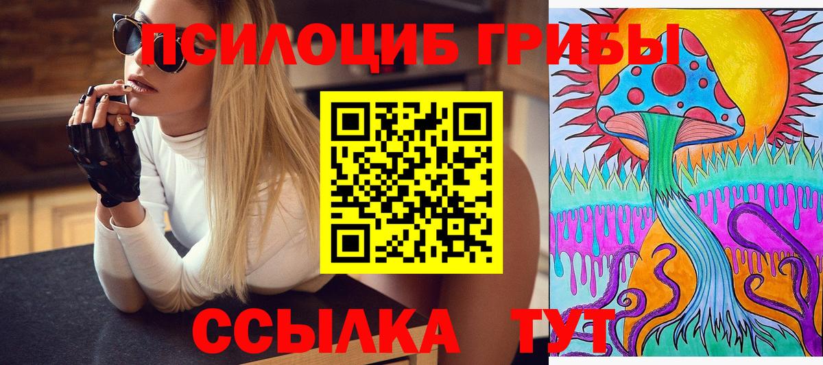 где можно купить   Псилоцибиновые грибы Magic Shrooms  Вход с VPN  Ивантеевка 