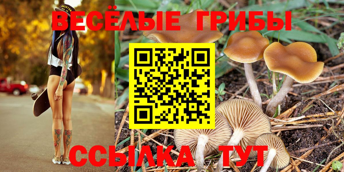 Псилоцибиновые грибы прущие грибы Ивантеевка